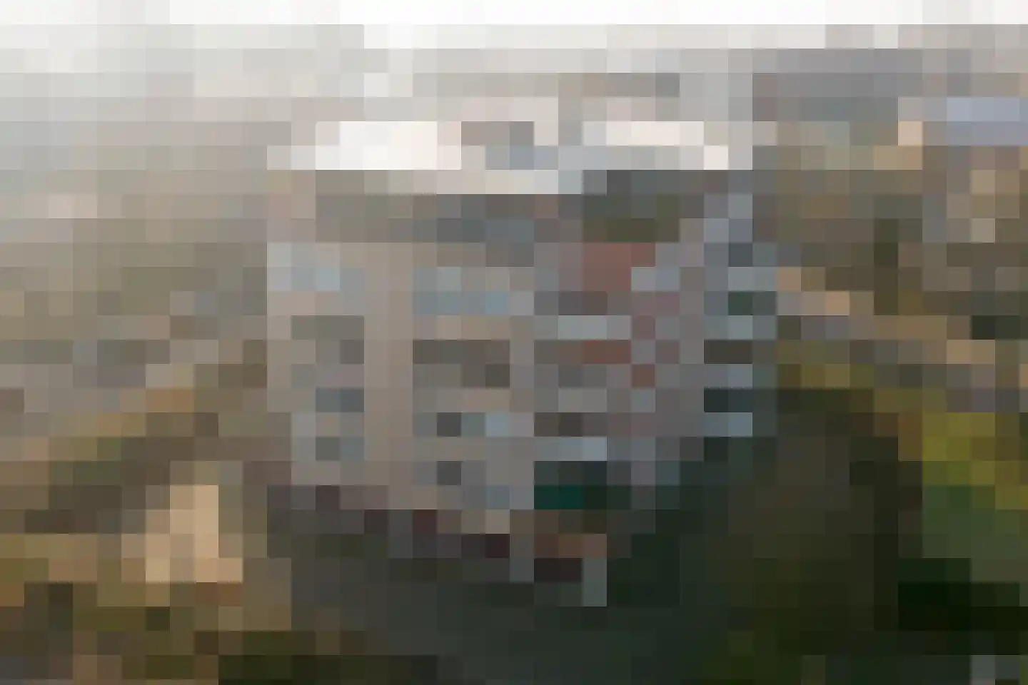 Alfridahof 13 Venray thumbnail 16