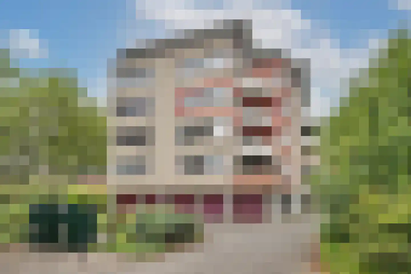 Alfridahof 18 Venray thumbnail 4