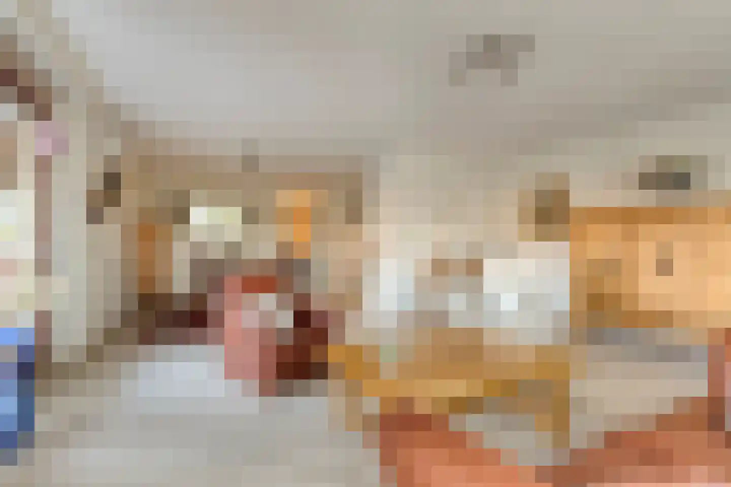 Alfridahof 38 Venray thumbnail 16