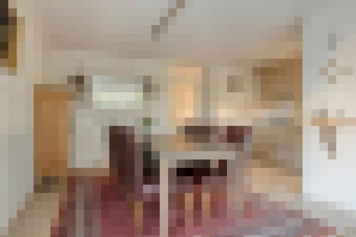 Alfridahof 38 Venray thumbnail 17