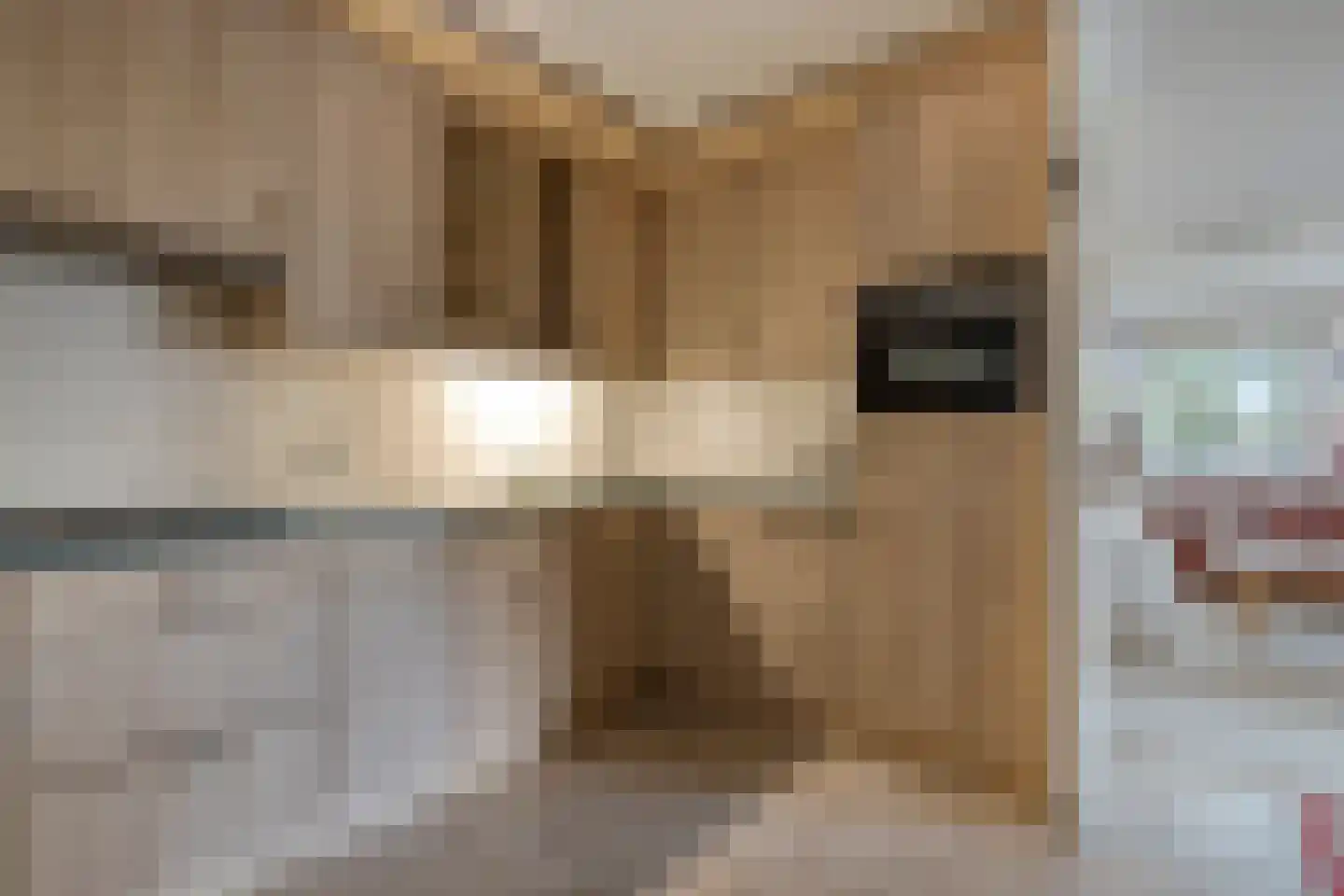 Alfridahof 38 Venray thumbnail 19