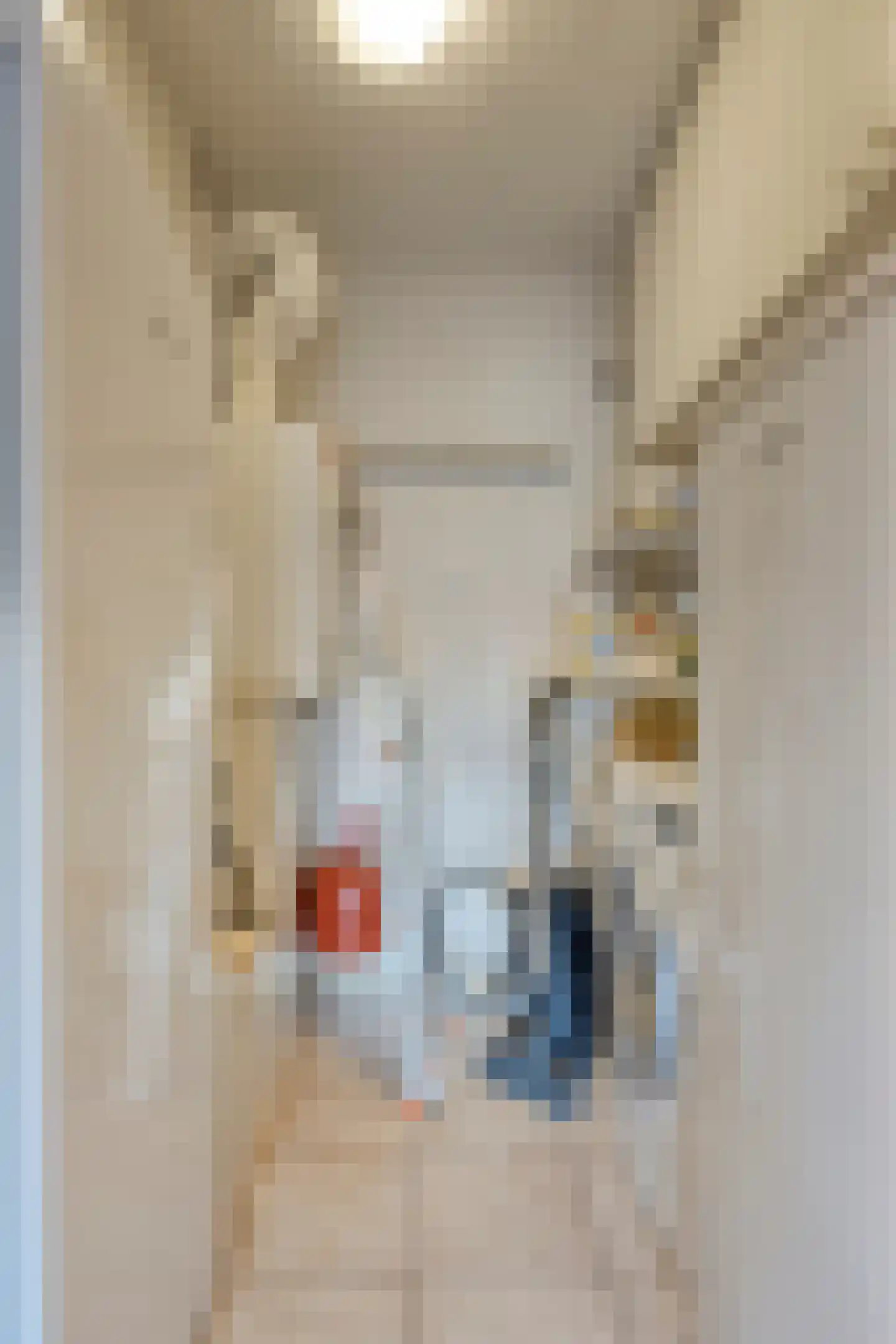 Alfridahof 38 Venray thumbnail 21