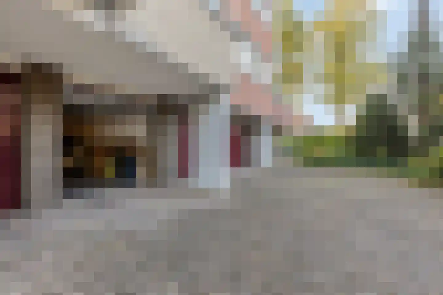 Alfridahof 38 Venray thumbnail 32