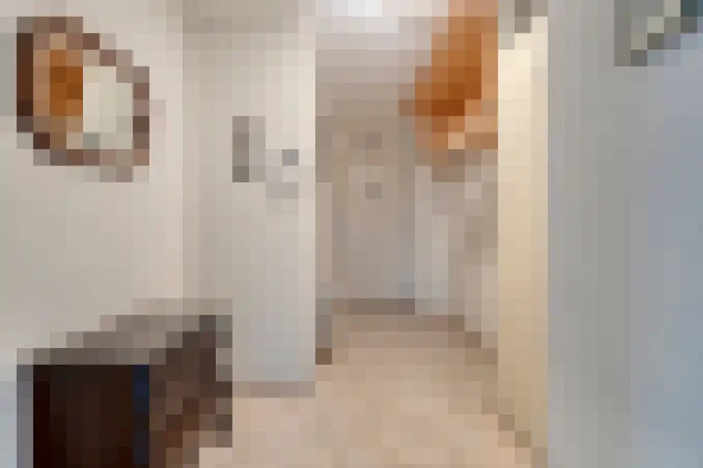 Alfridahof 38 Venray thumbnail 9