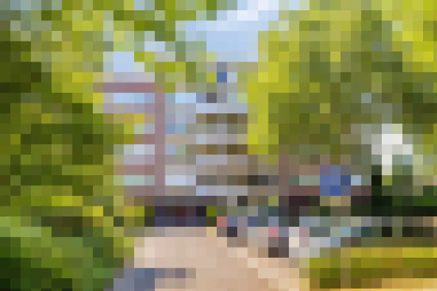 Alfridahof 51 Venray thumbnail 6
