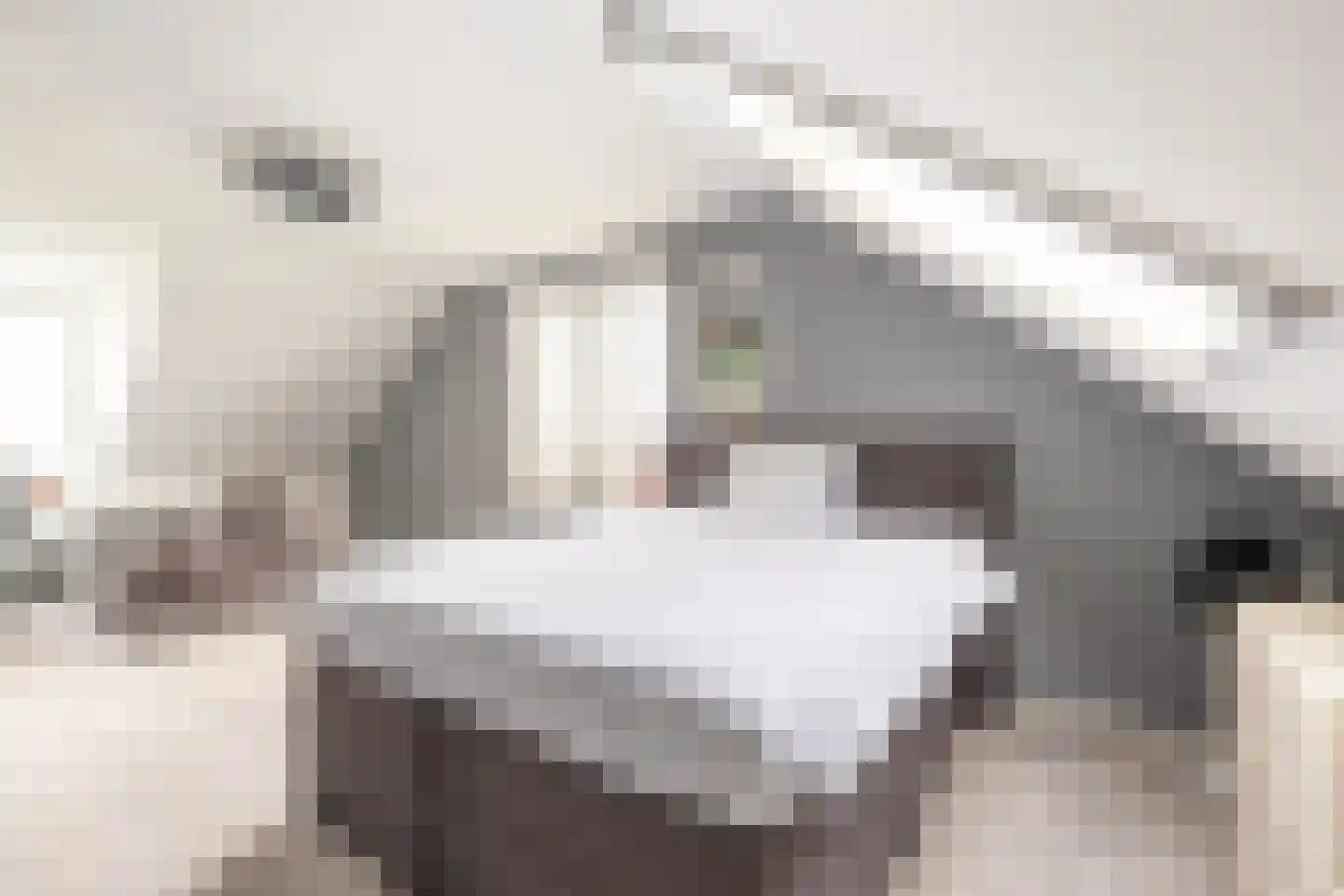 Algarve 39 Purmerend thumbnail 29