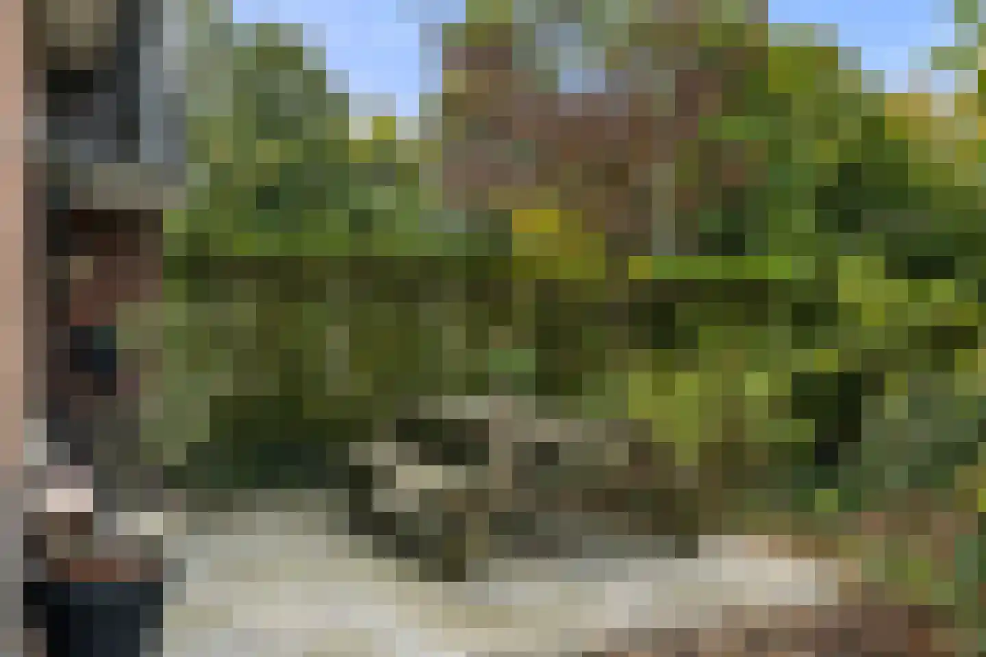Algemeer 17 Bennekom thumbnail 10