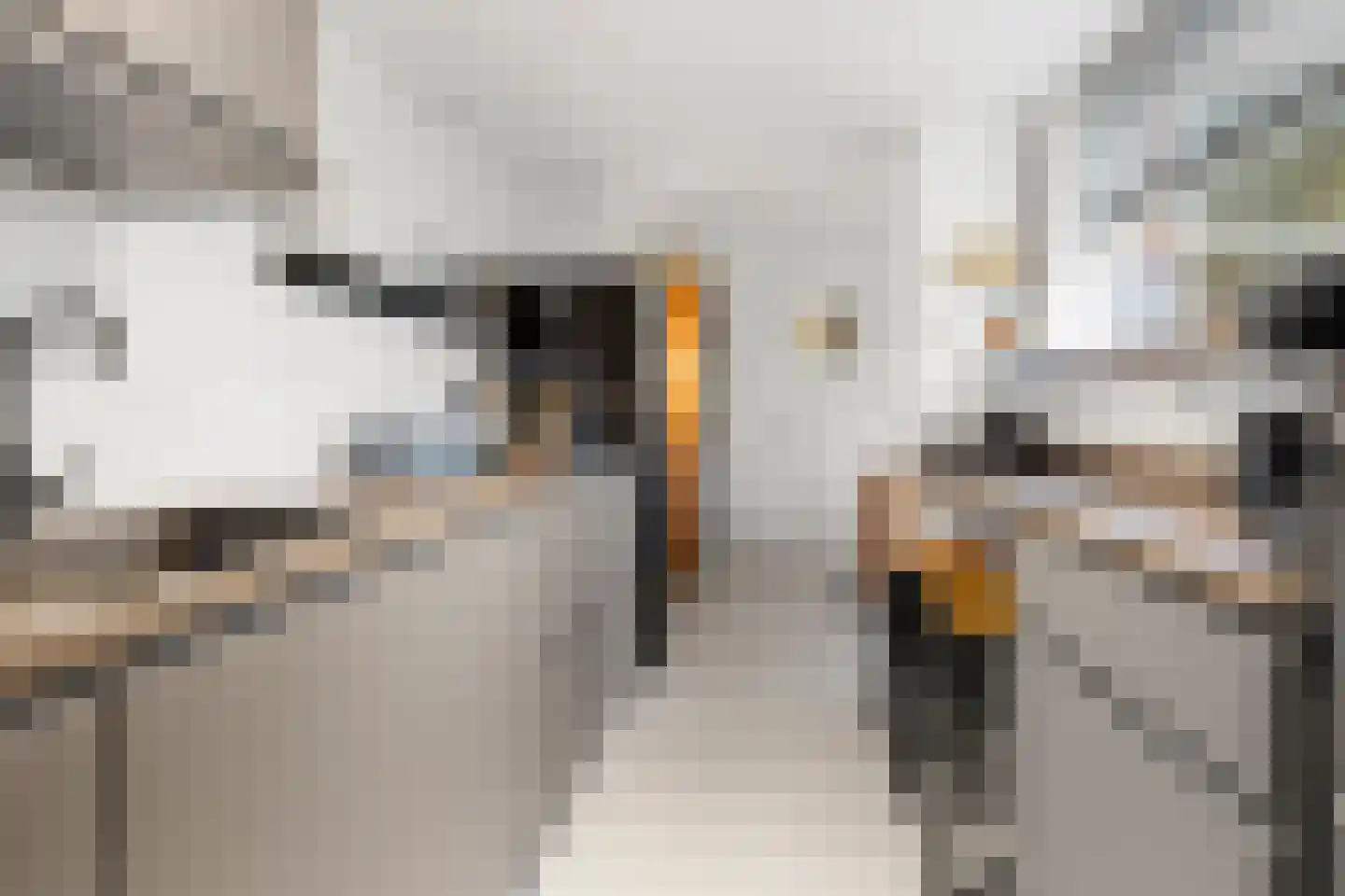 Algemeer 17 Bennekom thumbnail 22
