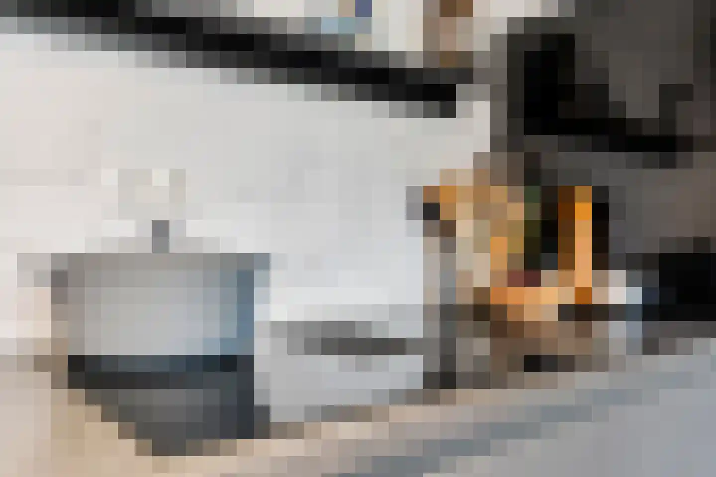 Algemeer 17 Bennekom thumbnail 23