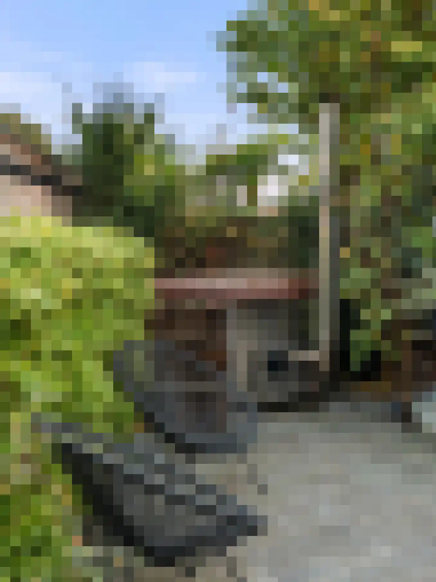 Algemeer 17 Bennekom thumbnail 36
