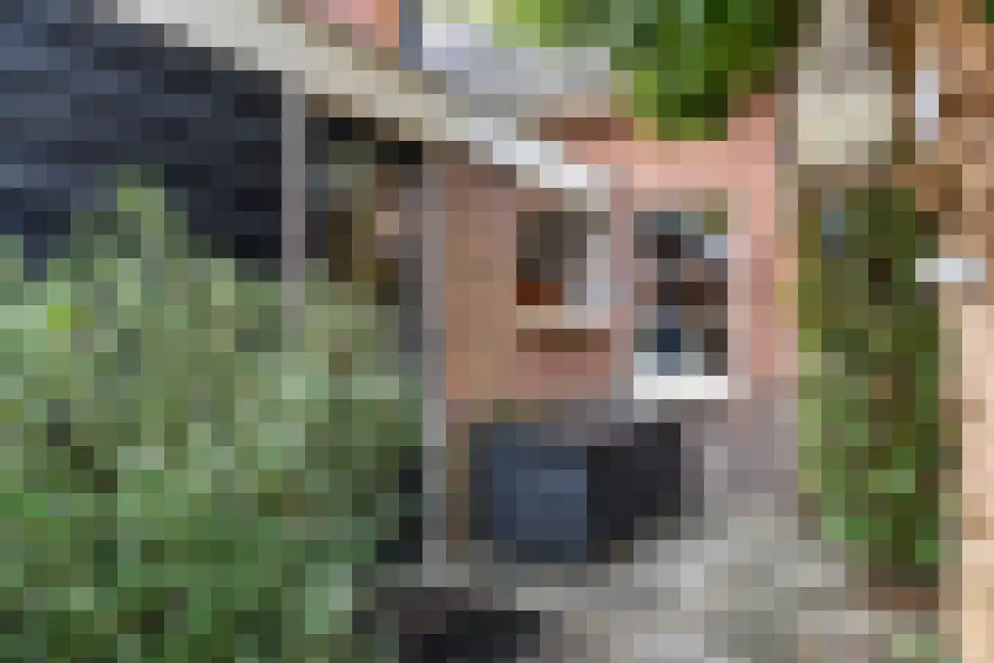 Algemeer 17 Bennekom thumbnail 38
