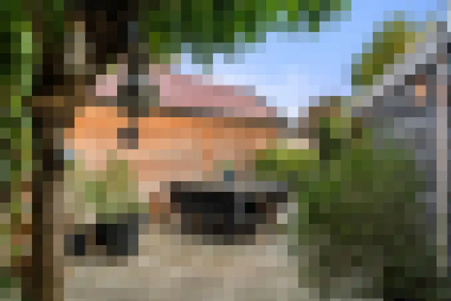 Algemeer 17 Bennekom thumbnail 39