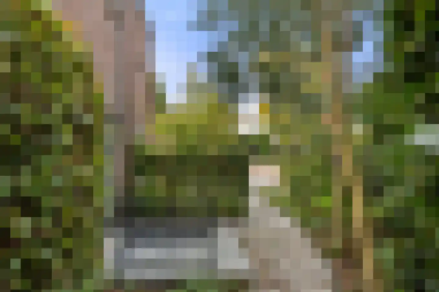 Algemeer 17 Bennekom thumbnail 40