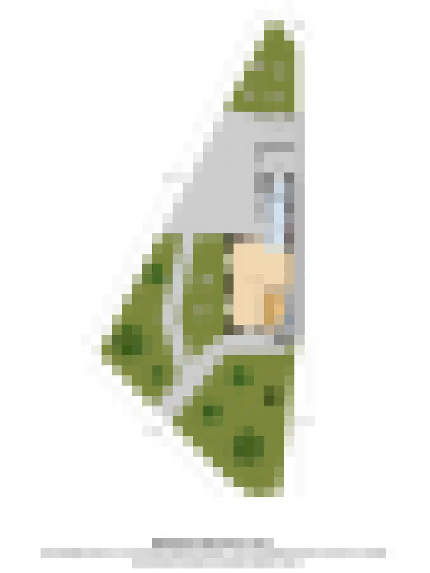 Algemeer 17 Bennekom thumbnail 49