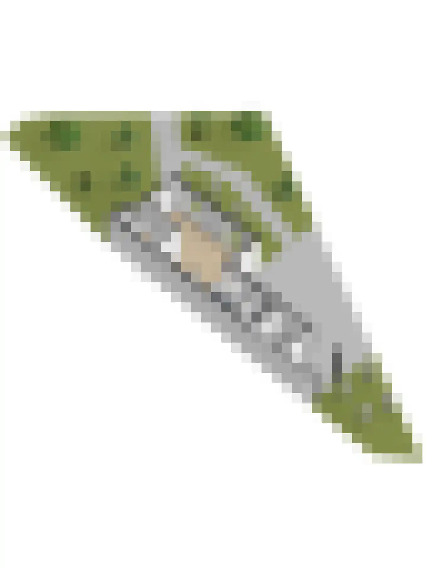 Algemeer 17 Bennekom thumbnail 50