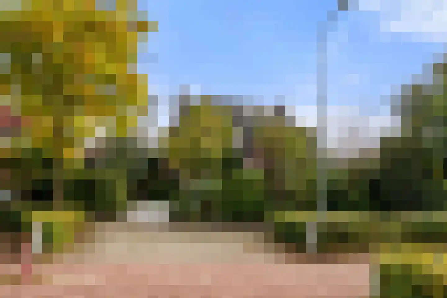 Algemeer 17 Bennekom thumbnail 8