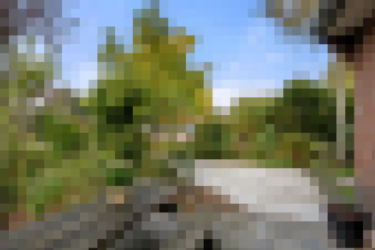 Algemeer 17 Bennekom thumbnail 9
