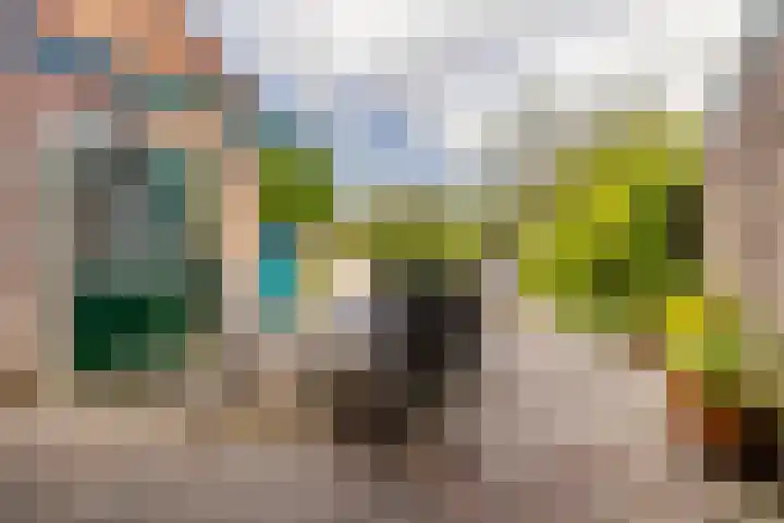 Algemeer 25 Bennekom thumbnail 29