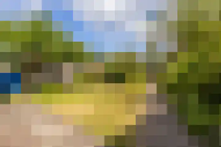 Algemeer 25 Bennekom thumbnail 30
