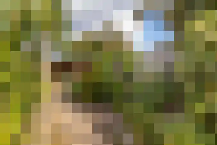 Algemeer 25 Bennekom thumbnail 31