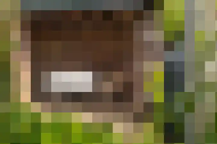 Algemeer 25 Bennekom thumbnail 33