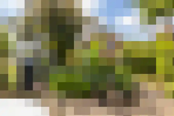 Algemeer 25 Bennekom thumbnail 35