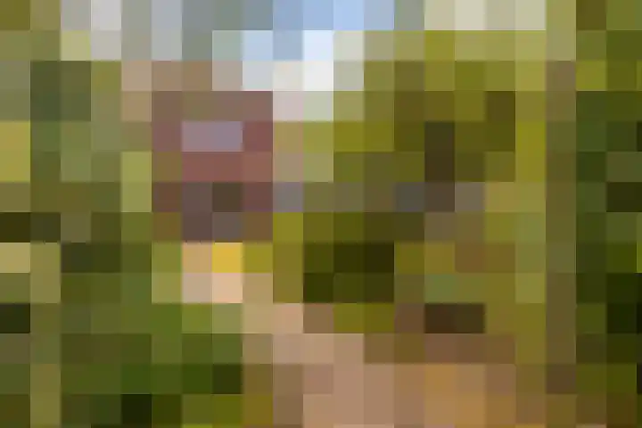 Algemeer 25 Bennekom thumbnail 36