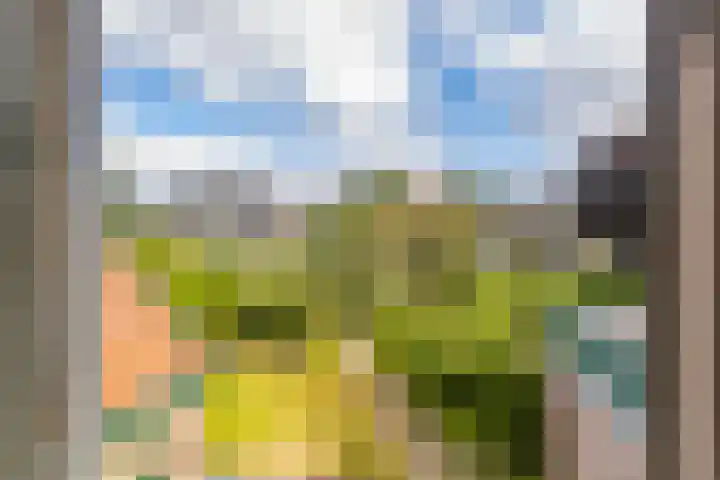 Algemeer 25 Bennekom thumbnail 38