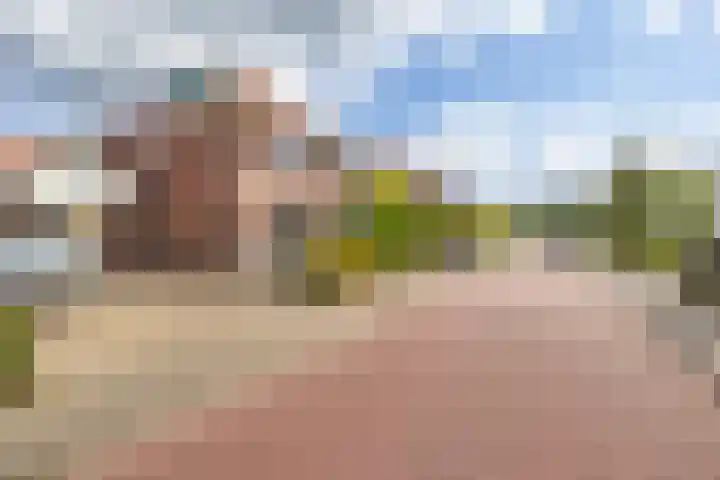 Algemeer 25 Bennekom thumbnail 39