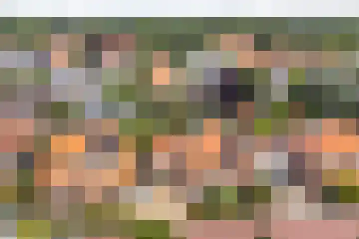 Algemeer 25 Bennekom thumbnail 40