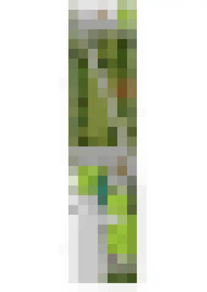 Algemeer 25 Bennekom thumbnail 45