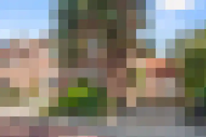 Algemeer 43 Bennekom