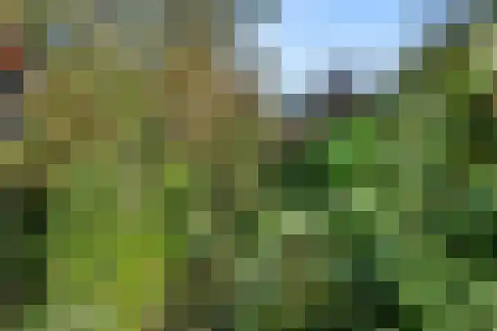 Algemeer 43 Bennekom thumbnail 10