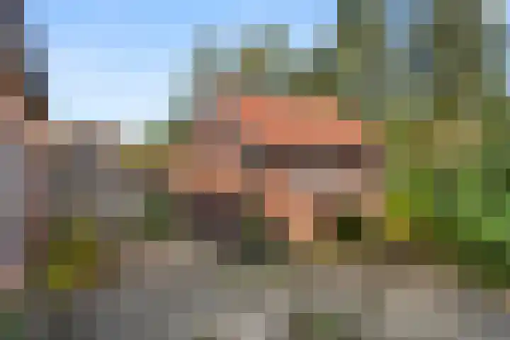 Algemeer 43 Bennekom thumbnail 11