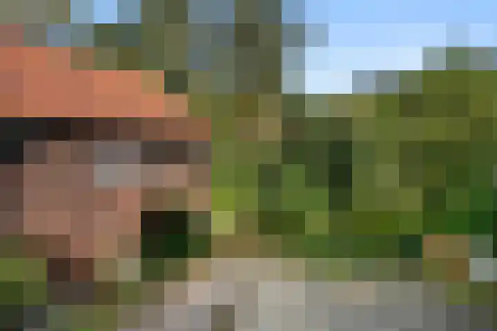 Algemeer 43 Bennekom thumbnail 12