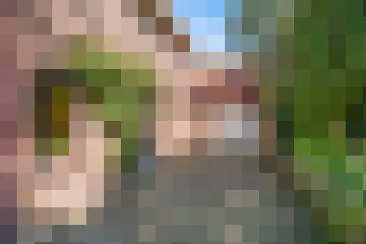 Algemeer 43 Bennekom thumbnail 4