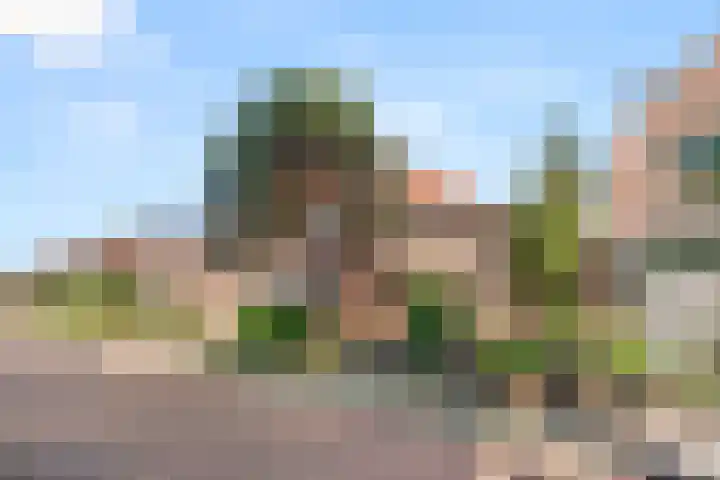 Algemeer 43 Bennekom thumbnail 5