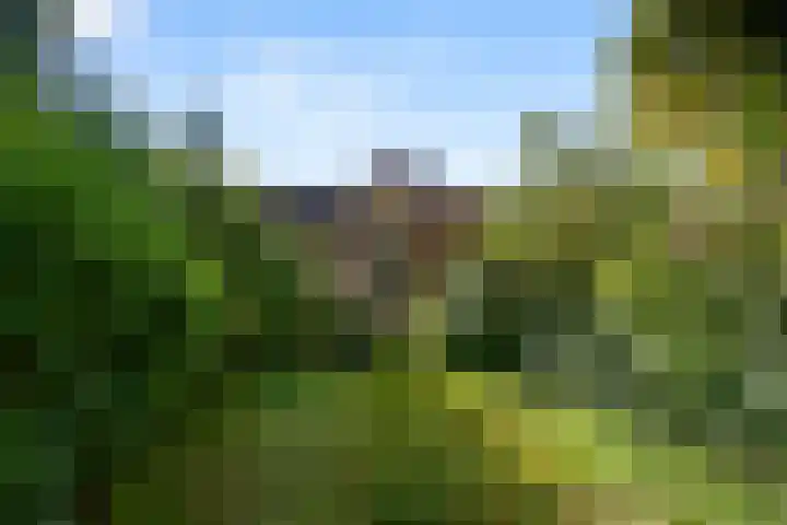 Algemeer 43 Bennekom thumbnail 7