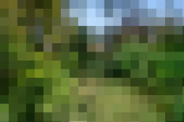 Algemeer 43 Bennekom thumbnail 9