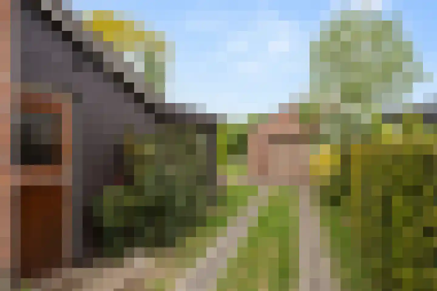 Algemeer 63 Bennekom thumbnail 26