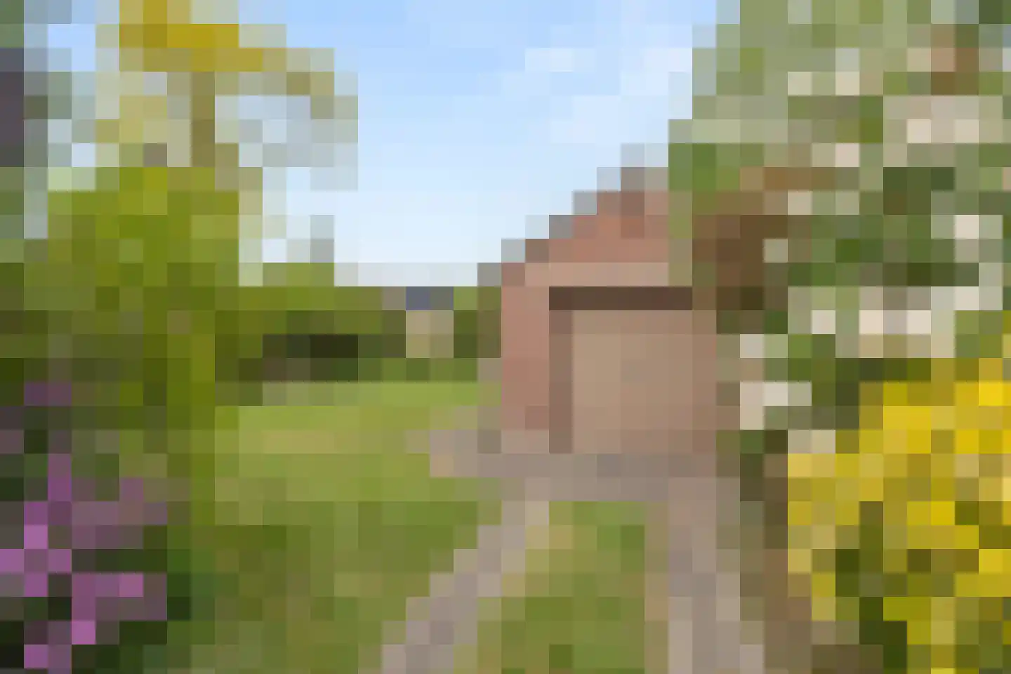Algemeer 63 Bennekom thumbnail 27