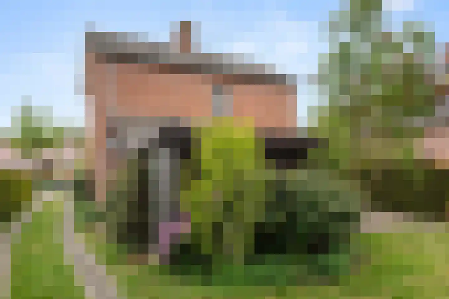 Algemeer 63 Bennekom thumbnail 28