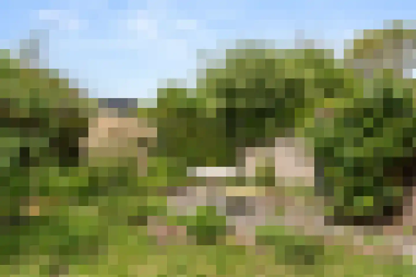 Algemeer 63 Bennekom thumbnail 29
