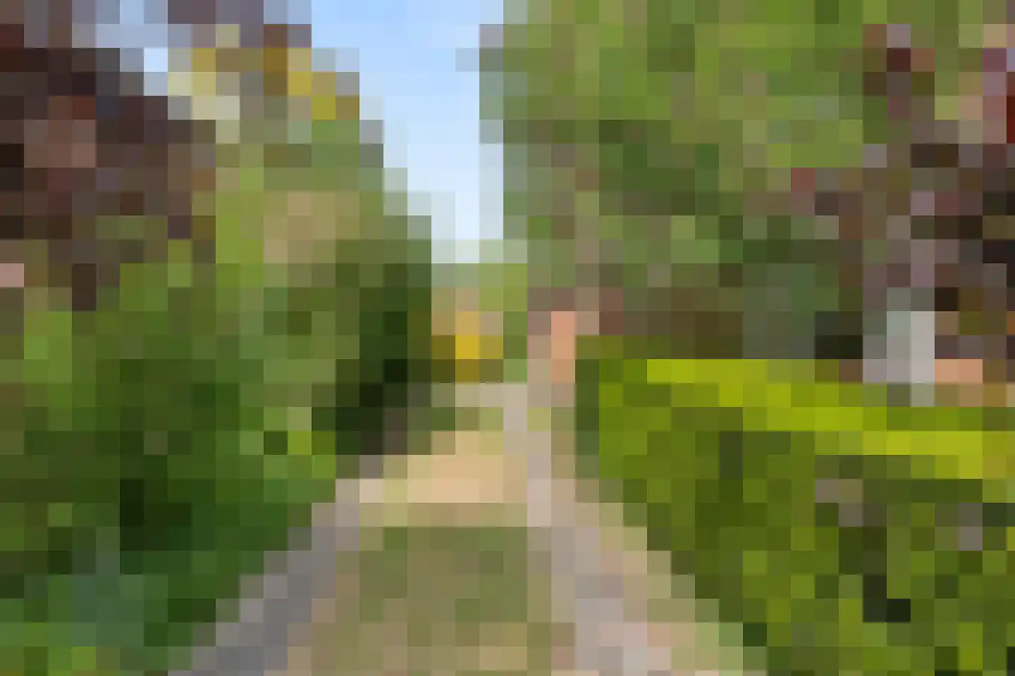 Algemeer 63 Bennekom thumbnail 32