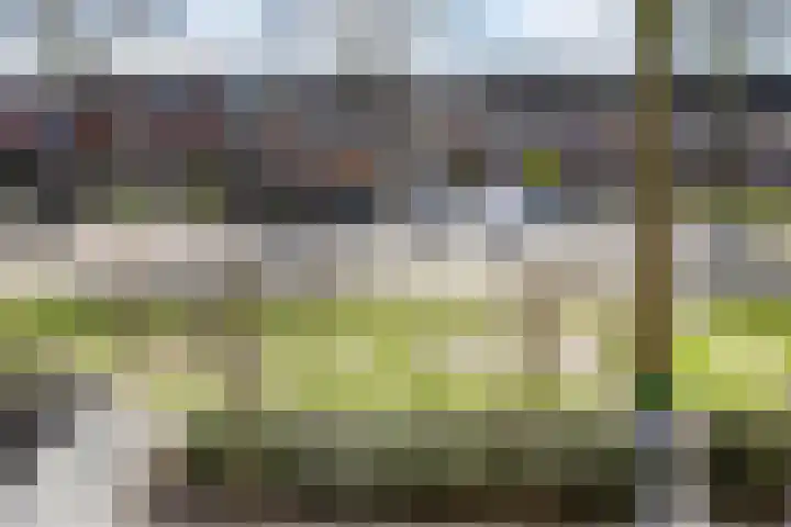 Algengroen 6 C Zoetermeer thumbnail 21