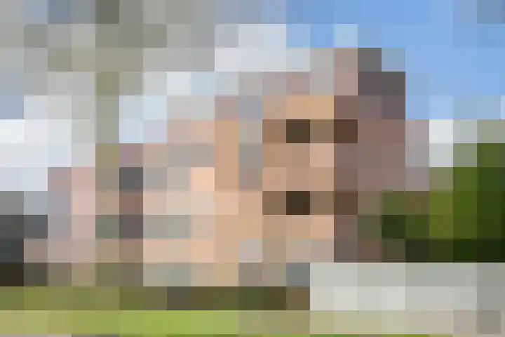 Algengroen 6 C Zoetermeer thumbnail 25