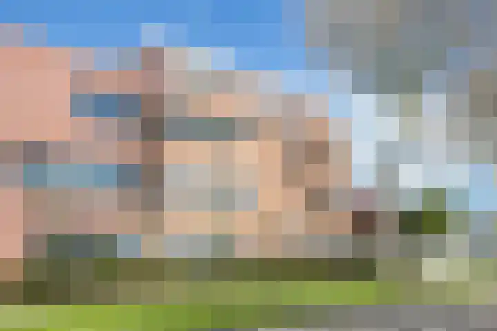 Algengroen 6 C Zoetermeer thumbnail 26