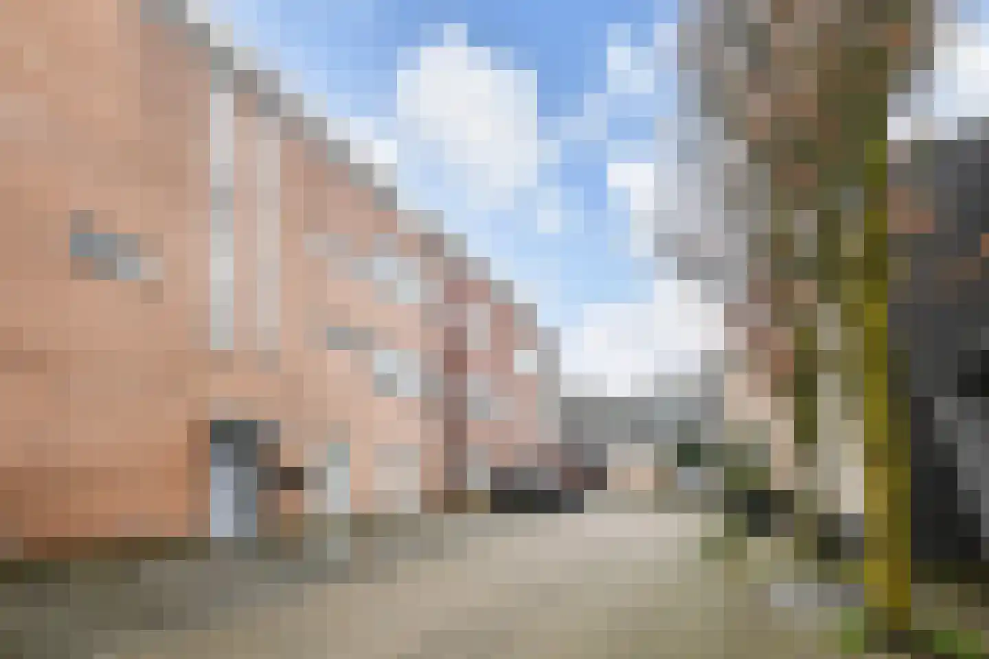 Algengroen 8 A Zoetermeer thumbnail 41