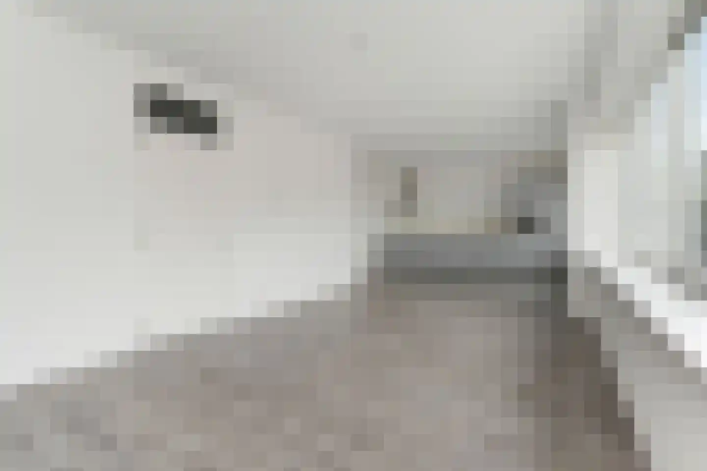 Algengroen 8 C Zoetermeer thumbnail 22