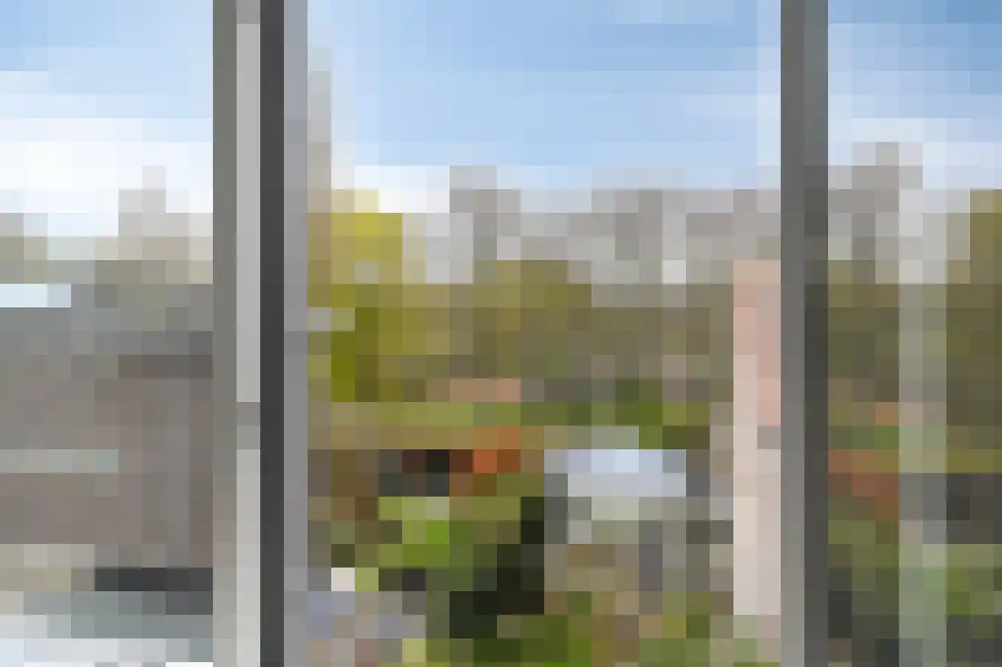 Algengroen 8 C Zoetermeer thumbnail 23
